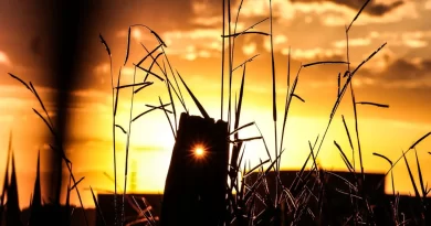 Última semana do verão será de calor intenso em Mato Grosso do Sul