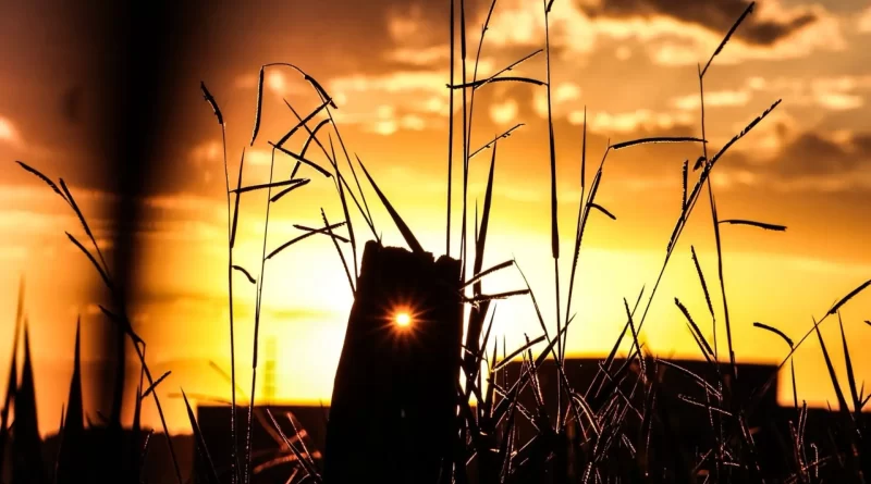 Última semana do verão será de calor intenso em Mato Grosso do Sul